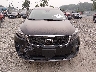 5XYPH4A56KG****** Wrecked 2019 Kia Sorento in New Jersey State