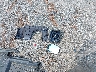 5FNRL6H75JB****** Wrecked 2018 Honda Odyssey in Ohio State