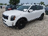 5XYP34HC3LG****** Usados y Reparables 2020 Kia Telluride en Chicago South