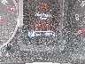 3TYRZ5CN5MT****** Salvage 2021 Toyota Tacoma