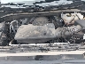 3GCUDFEDXPG****** Repairable 2023 Chevrolet Silverado 1500 in Houston