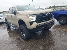3GCUDFEDXPG****** Salvage and Wrecked 2023 Chevrolet Silverado 1500 in Houston