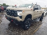 3GCUDFEDXPG****** Used and Repairable 2023 Chevrolet Silverado 1500 in Houston
