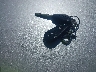 JF1GH6B69BH****** Salvamento 2011 Subaru Impreza en Estado de Wisconsin