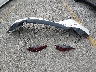 JM1BPABL2M1****** Wrecked 2021 Mazda 3 in California State