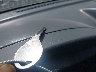 5N1ED28T64C****** Salvage 2004 Nissan Xterra in Ohio State
