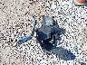 4S4BTALC7R3****** Destrozados 2024 Subaru Outback en Estado de Kentucky