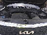 5XYP2DHC7NG****** Reparables 2022 Kia Telluride en Savannah