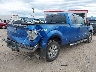 1FTFX1ET2EK****** Salvamento y Destrozados 2014 Ford F-150 en Estado de Montana