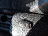 3KPF44AC7LE****** Salvage 2020 Kia Forte in Kentucky State