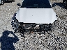3KPF44AC7LE****** Salvage and Repairable 2020 Kia Forte in Kentucky State