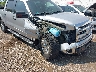 1FTFW1ET8EF****** Salvamento y Reparables 2014 Ford F-150 en Estado de Illinois