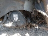 2D4GP44L07R****** Repairable 2007 Dodge Caravan