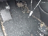 5N1DL0MN7KC****** Salvage 2019 Infiniti QX60 in Georgia State