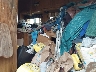 2GBJG31M4E4****** Salvage and Repairable 1984 Chevrolet G-Series in Oregon State