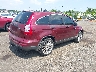 5J6RE4H35AL****** Salvage and Wrecked 2010 Honda CR-V in New Jersey State