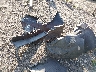 1J8HR58N98C****** Destrozados 2008 Jeep Grand Cherokee en Estado de Massachusetts