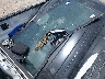1FTFW1E88PK****** Wrecked 2023 Ford F-150 in Texas State