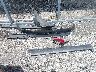 1ZVBP8CF0C5****** Wrecked 2012 Ford Mustang in Kentucky State