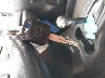 3N1CE2CP1JL****** Salvamento 2018 Nissan Versa Note en Estado de Nueva York