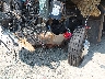 1F66F5DY0E0****** Salvamento 2014 Ford Detroit Chassis Motor Home