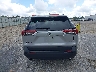 2T3W1RFV1RC****** Destrozados 2024 Toyota RAV4