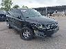 WVGBV7AX9DW****** Salvamento y Destrozados 2013 Volkswagen Tiguan en Dallas