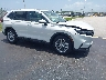 2HKRS3H41RH****** Salvage and Wrecked 2024 Honda CR-V in Miami North