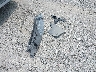 3FAHP0HG7BR****** Wrecked 2011 Ford Fusion in Ohio State