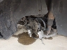 1G4HP572X7U****** Used 2007 Buick Lucerne in Pennsylvania State