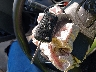 1G1105SAXHU****** Salvage 2017 Chevrolet Impala in Nebraska State
