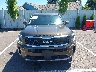 5XYP6DHC7NG****** Destrozados 2022 Kia Telluride en Estado de Oregón