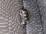 1FM5K8DH7HG****** Salvamento 2017 Ford Explorer en Estado de Kentucky