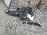 3FADP4EJ5FM****** Destrozados 2015 Ford Fiesta en Estado de Maine