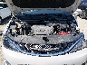 2C4RC1EG1LR****** Reparables 2020 Chrysler Pacifica en Indianapolis