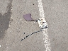 1HGCB7656NA****** Wrecked 1992 Honda Accord in Hawaii State