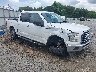 1FTEW1CFXHF****** Salvamento y Destrozados 2017 Ford F-150 en Tifton