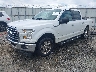 1FTEW1CFXHF****** Usados y Reparables 2017 Ford F-150 en Tifton