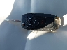 3FA6P0H78DR****** Salvage 2013 Ford Fusion in New Jersey State
