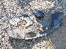 2HKRM3H38EH****** Wrecked 2014 Honda CR-V in Ohio State