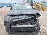 JTMG1RFV2MD****** Destrozados 2021 Toyota RAV4 en Estado de Montana
