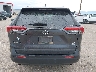 JTMG1RFV2MD****** Destrozados 2021 Toyota RAV4