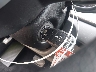 KNDPM3AC3L7****** Salvage 2020 Kia Sportage in Texas State