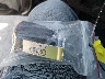 WAUD3BF29PN****** Salvage 2023 Audi A6 in Illinois State