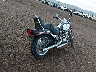 1HD1JL5199Y****** Salvage 2009 Harley-Davidson Softail Custom