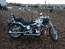 1HD1JL5199Y****** Salvage 2009 Harley-Davidson Softail Custom in Arizona State