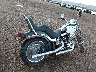 1HD1JL5199Y****** Salvage and Wrecked 2009 Harley-Davidson Softail Custom in Arizona State