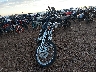 1HD1JL5199Y****** Used and Repairable 2009 Harley-Davidson Softail Custom in Arizona State