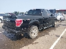1FTRX14859K****** Salvage and Wrecked 2009 Ford F-150 in Illinois State
