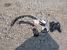 WMWZC5C57GW****** Wrecked 2016 MINI Countryman in Virginia State